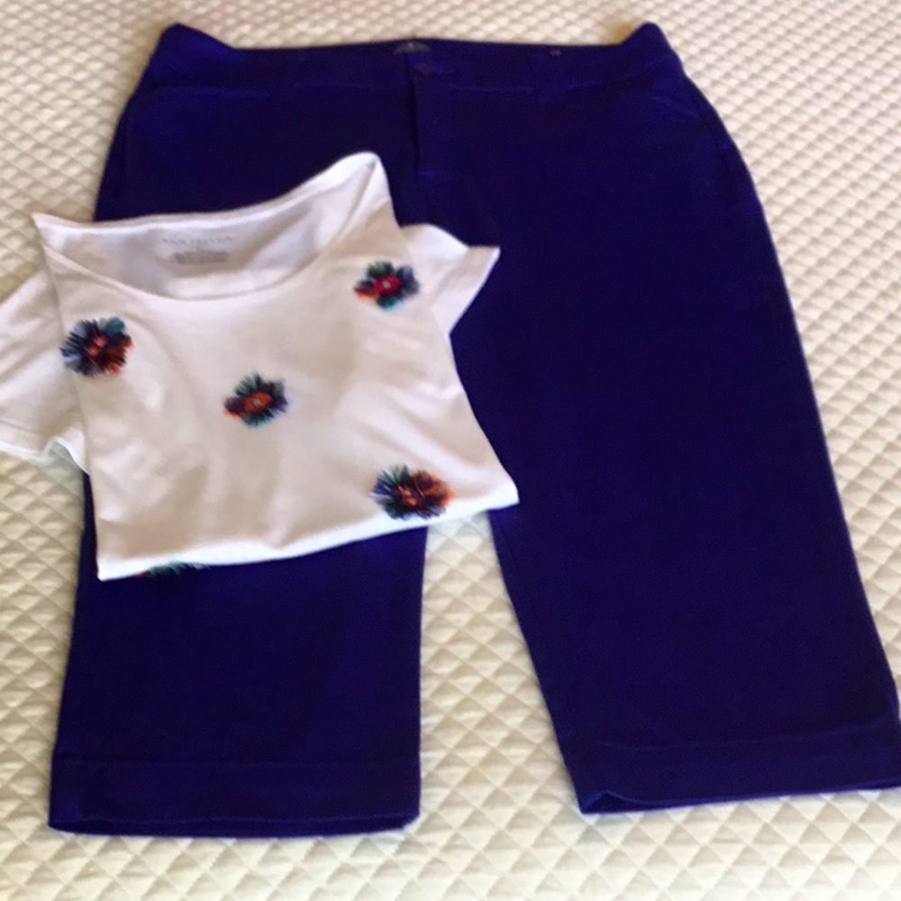 COPY - Ann Taylor T-Shirt and St. John’s Bay Capri Pants